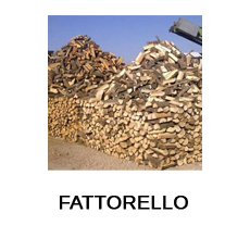 fattorello fattorello